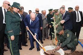 The President of the Republic supervises in Djelfa the launch of the Green Dam Resurrection Project