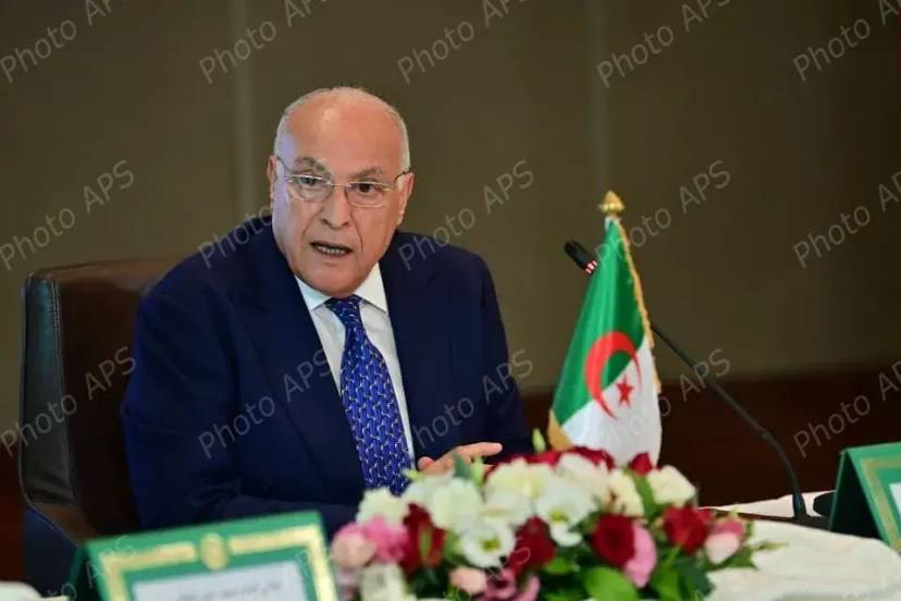 السيد عطاف يؤكد استعداد الجزائر لترجمة مخرجات لجنة المتابعة المشتركة إلى مشاريع ملموسة